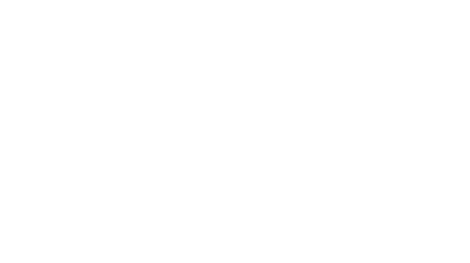 LMS Media Group